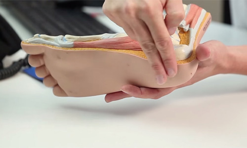 Podozorg bijeenkomsten 2023